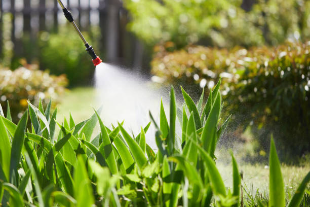 Void Injection for Cockroach Colonies in Summer Set